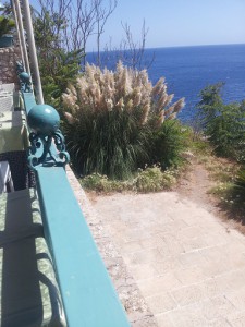 Bigger than ours, but now we know what to look forward too! Or maybe it requires stunning views to grow this massively?